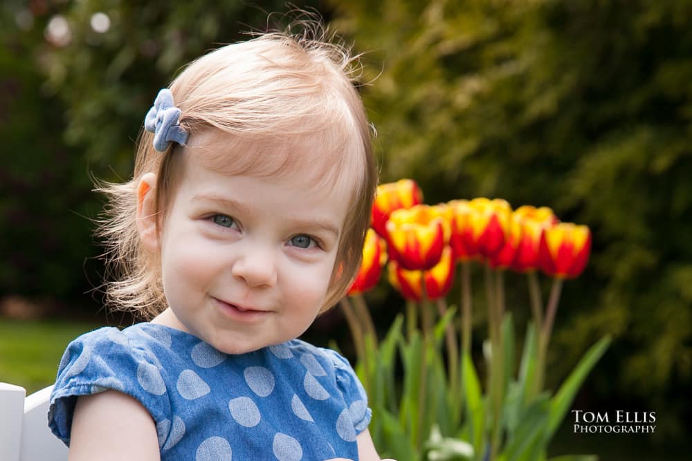 First baby photo session with 18 month old Emily, as she poses in front of some tulips